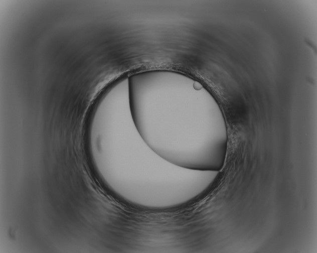 X0000091980583200709061154