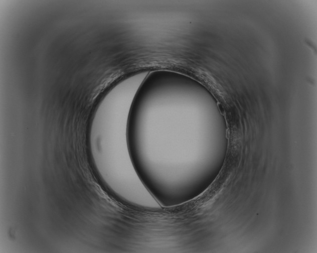 X0000091980585200709061154