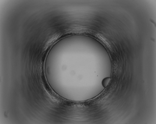 X0000091980586200709061154