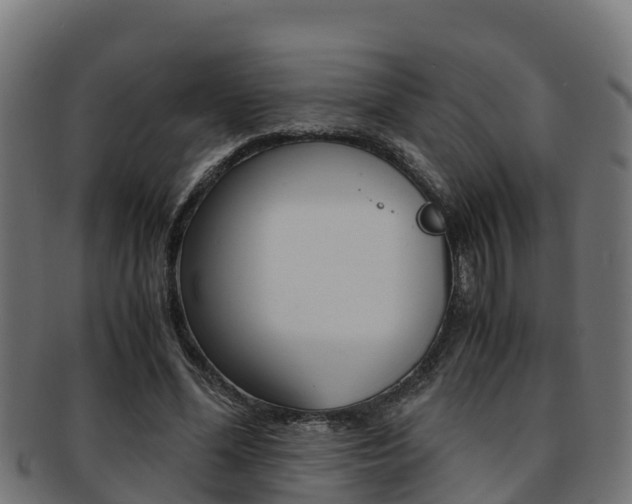 X0000091980588200709061154