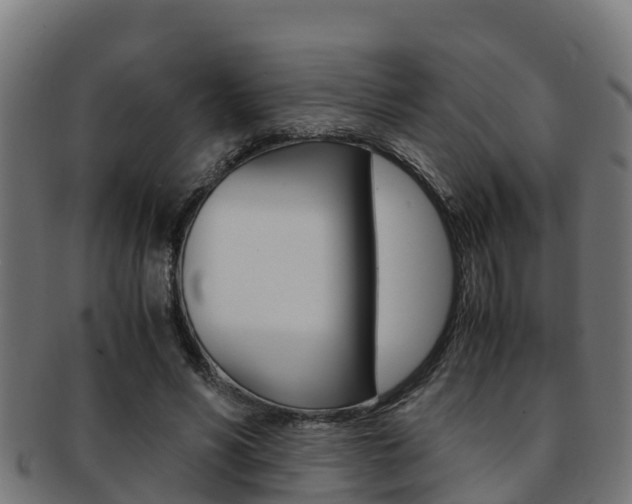 X0000091980590200709061154