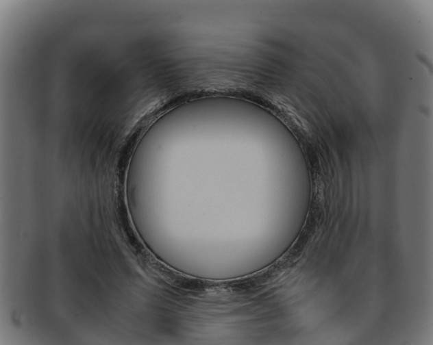 X0000091980591200709061154
