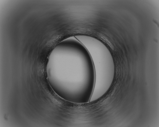 X0000091980593200709061154