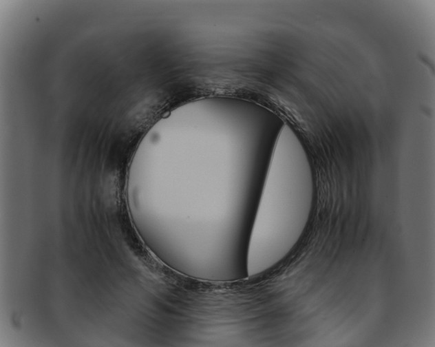 X0000091980594200709061154