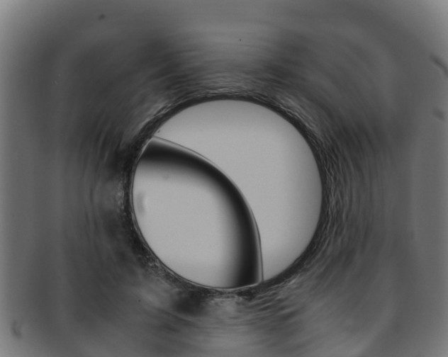 X0000091980595200709061154