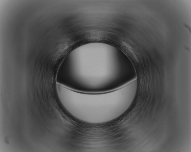 X0000091980596200709061154