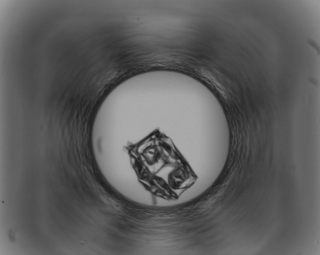 X0000091980597200709061154