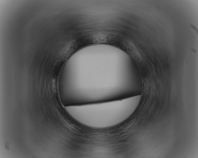 X0000091980598200709061154