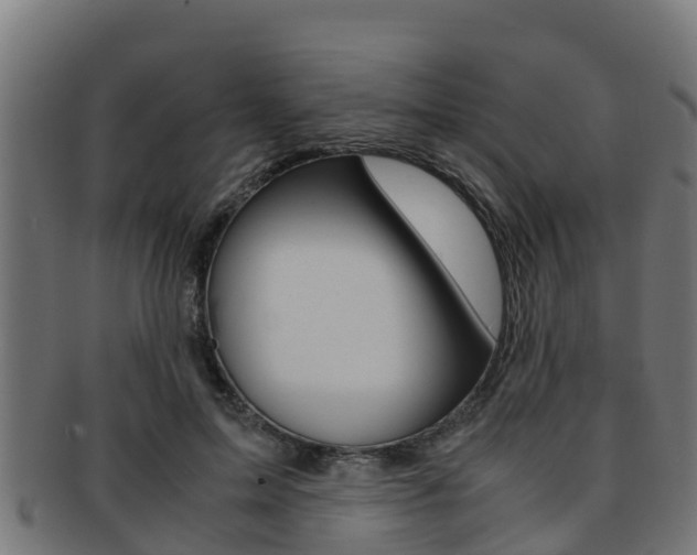 X0000091980599200709061154