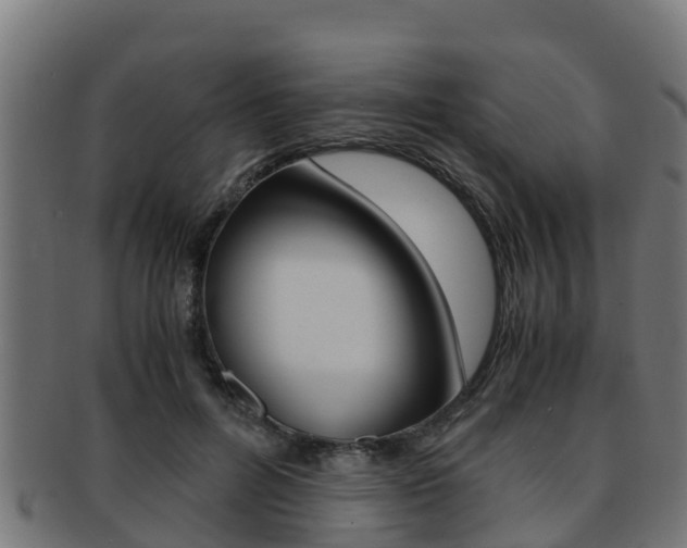 X0000091980600200709061154