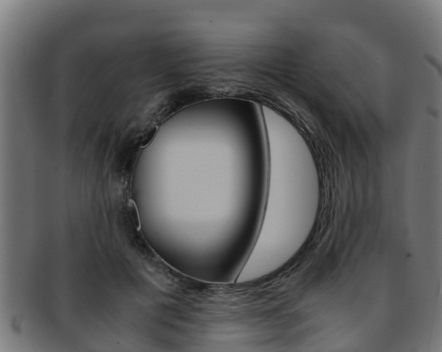 X0000091980601200709061154