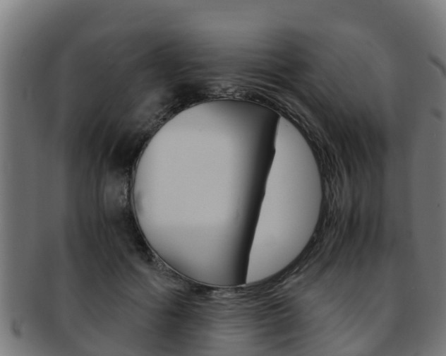 X0000091980602200709061154