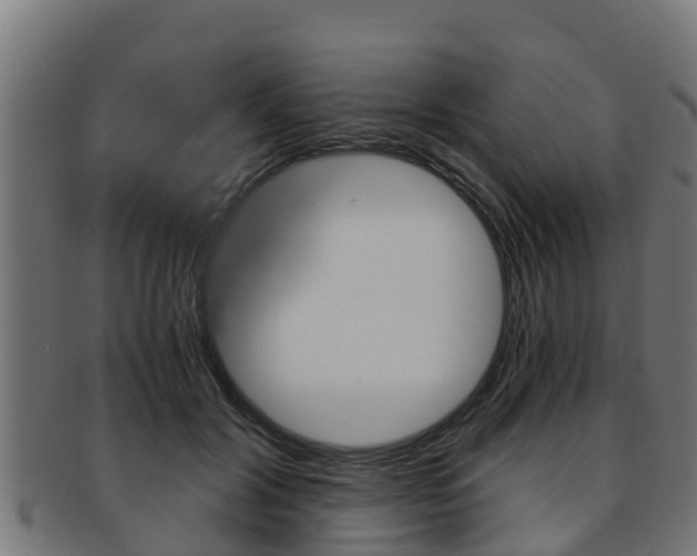 X0000091980604200709061154