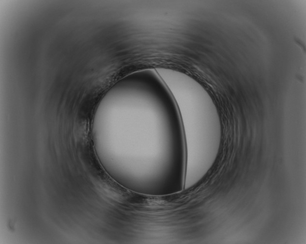 X0000091980605200709061154