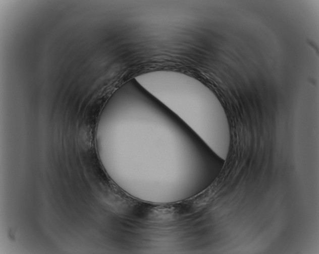 X0000091980606200709061154