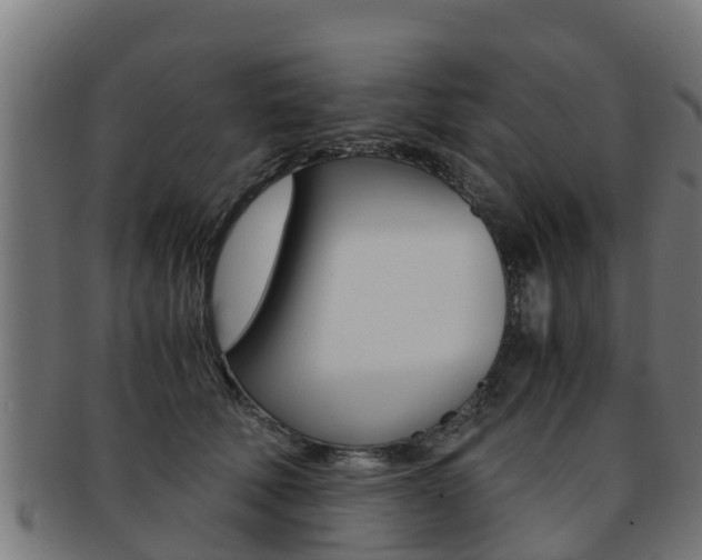 X0000091980610200709061154