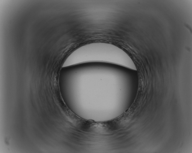 X0000091980611200709061154