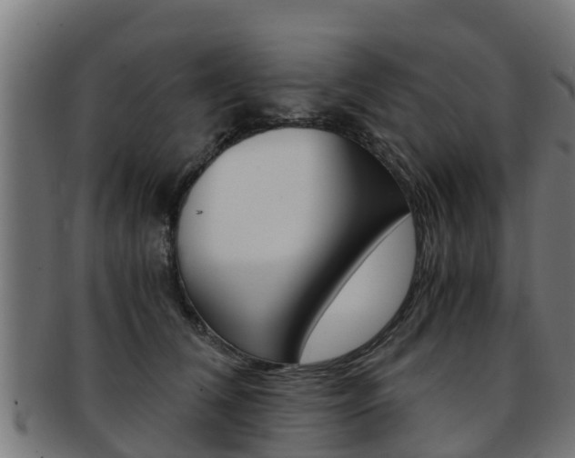 X0000091980612200709061154