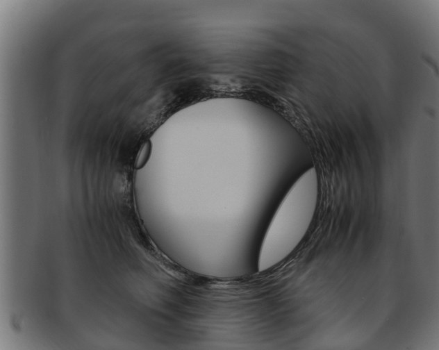 X0000091980614200709061154