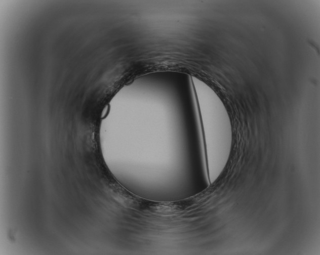 X0000091980615200709061154