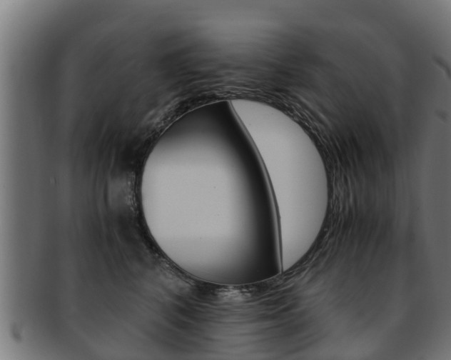 X0000091980616200709061154