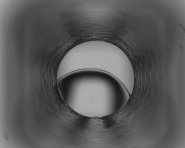 X0000091980617200709061154