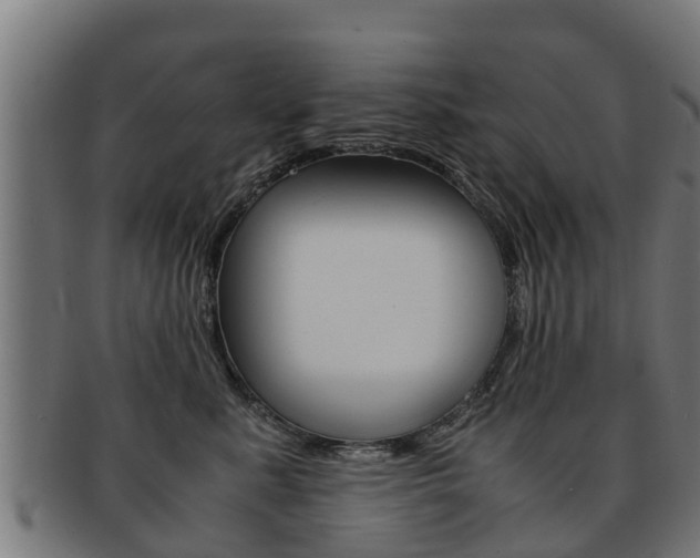 X0000091980619200709061154