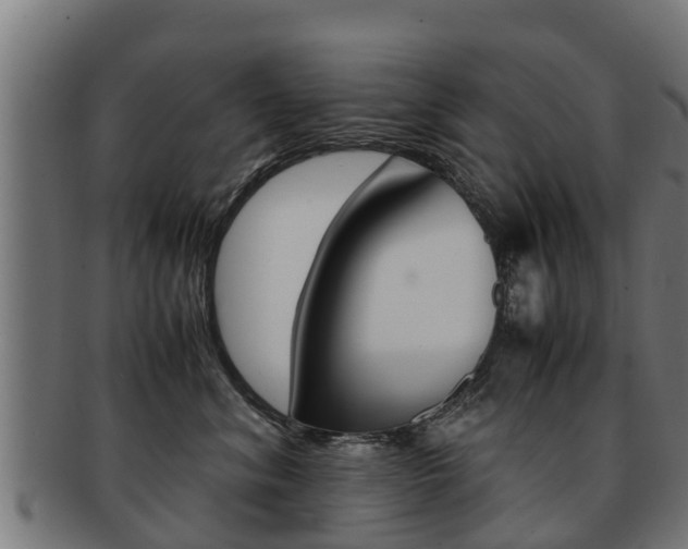 X0000091980620200709061154