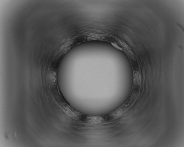 X0000091980621200709061154
