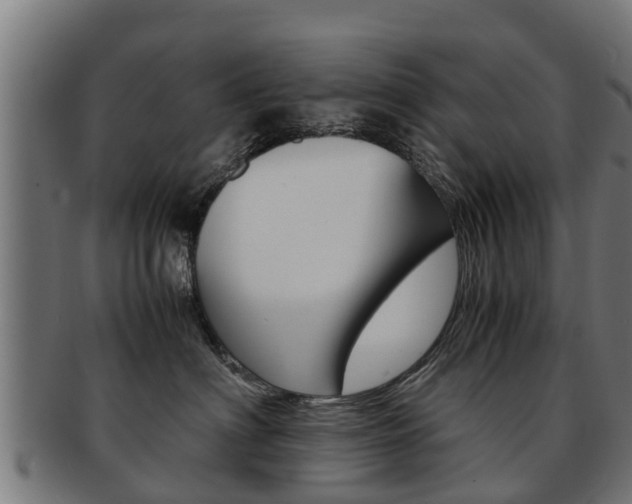 X0000091980622200709061154