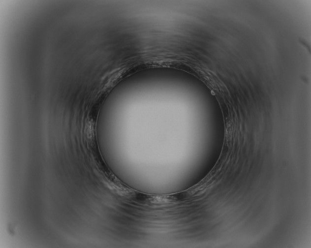 X0000091980623200709061154