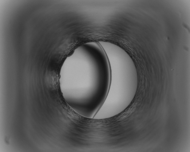 X0000091980624200709061154