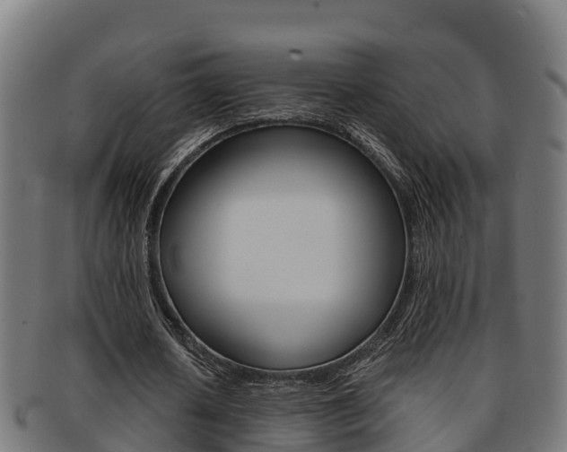X0000091980626200709061153