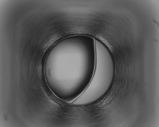 X0000091980627200709061153