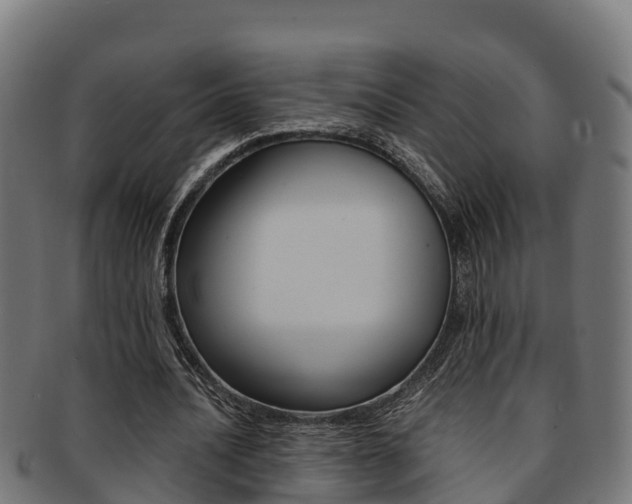 X0000091980628200709061153