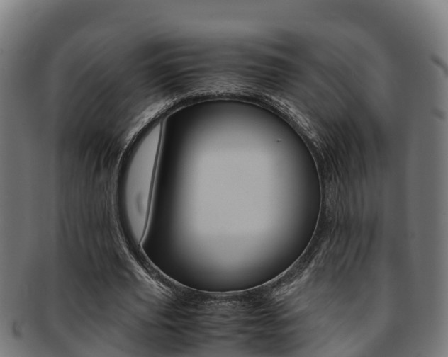 X0000091980629200709061153