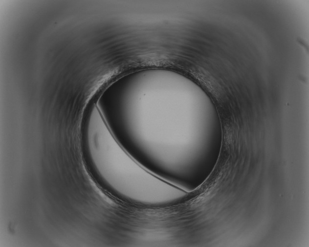 X0000091980630200709061153