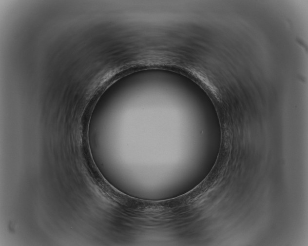 X0000091980631200709061153