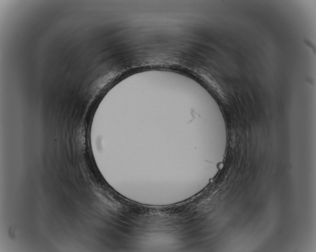X0000091980632200709061153