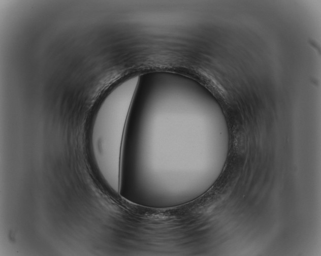 X0000091980635200709061153