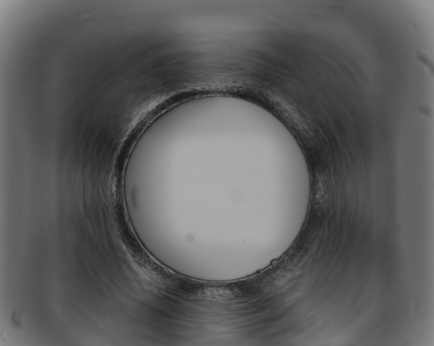 X0000091980636200709061153