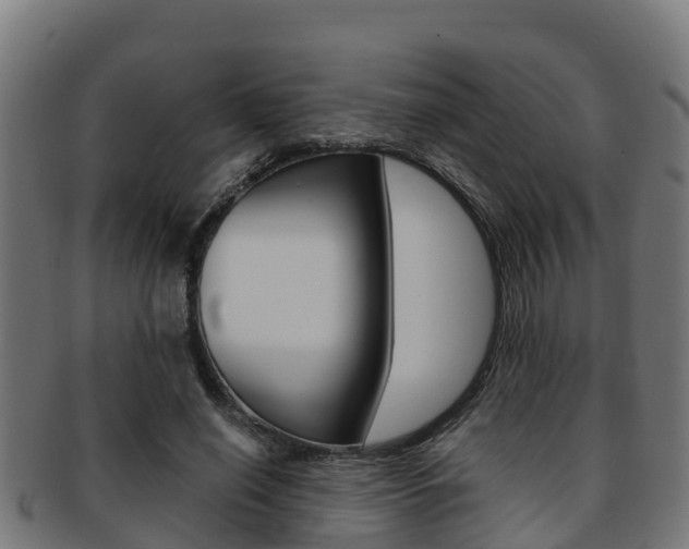 X0000091980638200709061153