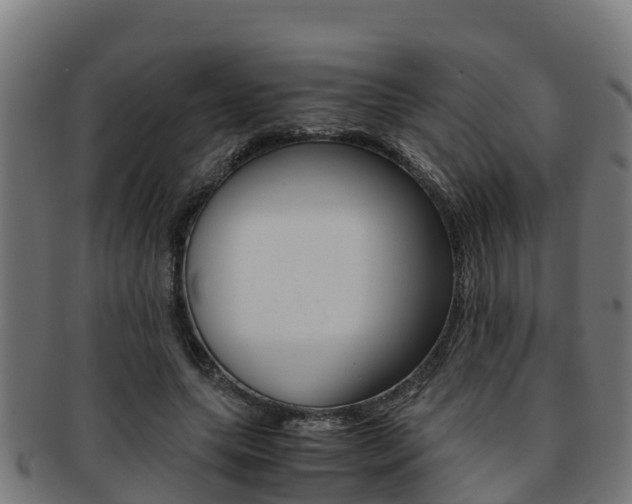 X0000091980639200709061153