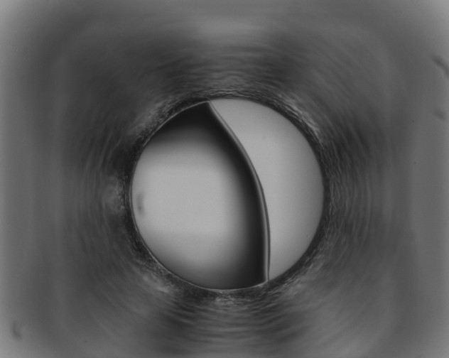 X0000091980641200709061153