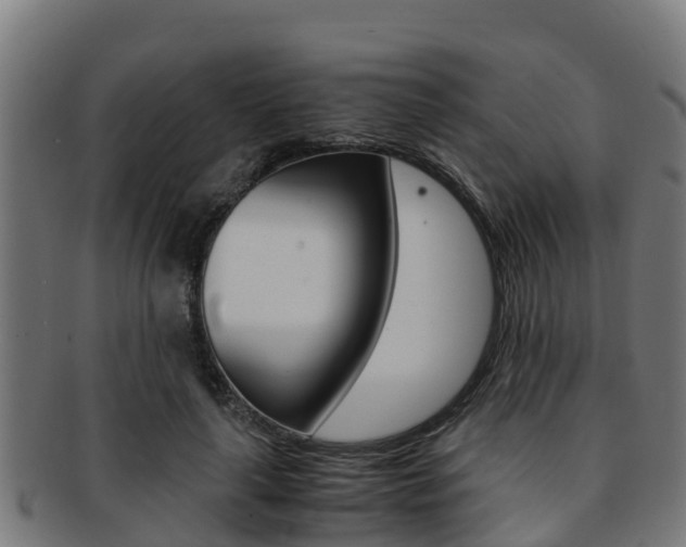 X0000091980643200709061153