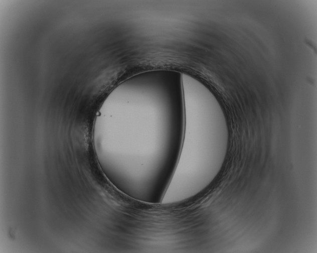 X0000091980644200709061153