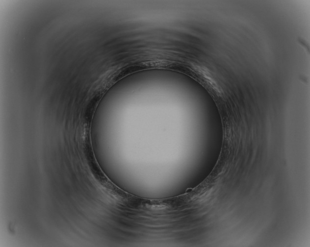 X0000091980645200709061153