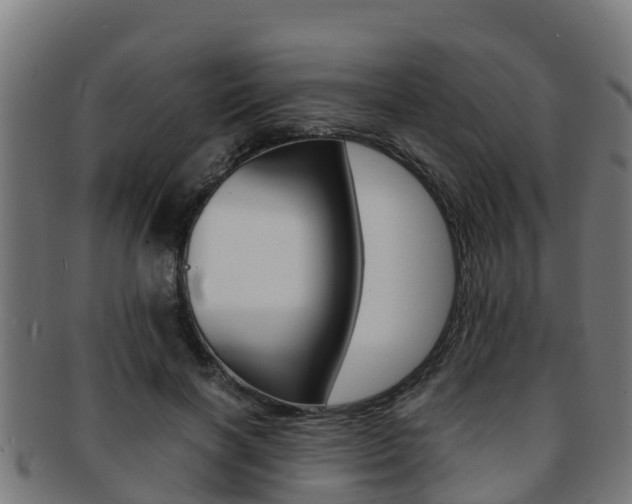 X0000091980646200709061153