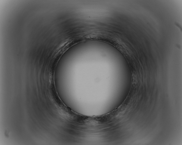 X0000091980648200709061153