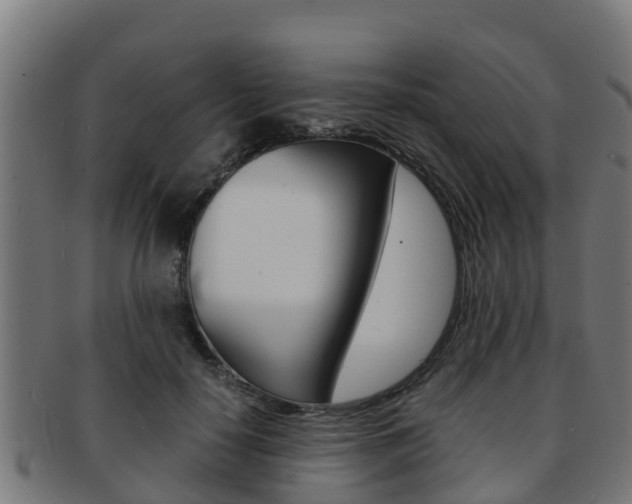 X0000091980650200709061153